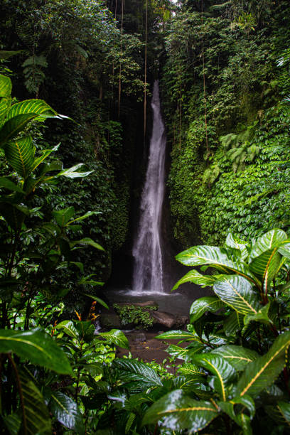 istock Leke Leke Waterfall in Bali Indonesien 2030830291