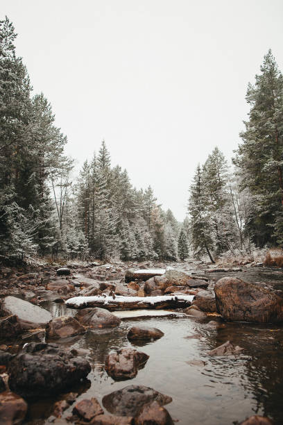 A watercourse flowing through a forest with snowcovered trees and rocks, creating a serene natural landscape with the sky above