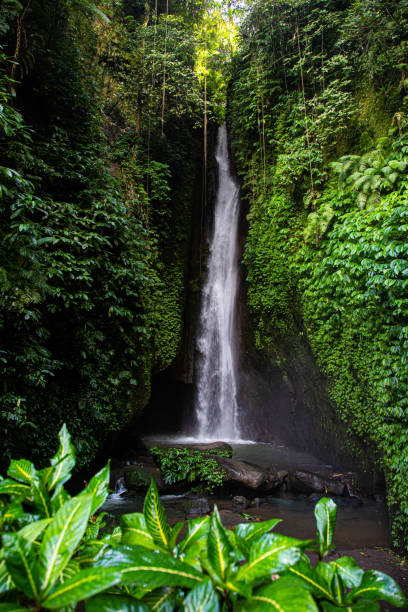 istock Leke Leke Waterfall in Bali Indonesien 2030830809