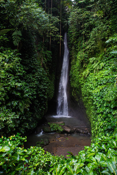 Waterfall Air Terjun Leke Leke in Baturiti Tabanan Bali Indonesien Asien