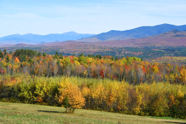 istock autumn colorful mountain forest and pasture 2030843351
