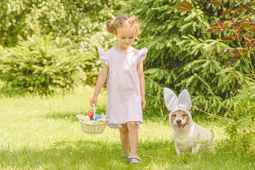 Girl and Jack Russell Terrier looking for Easter eggs in grass