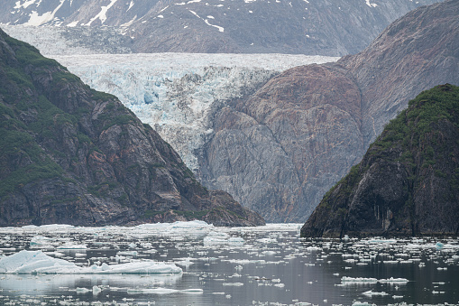 Gowlers (small icebergs) floating in the sea with North Sawyer Glacier in the distance, Tracy Arm Inlet, Alaska, USA