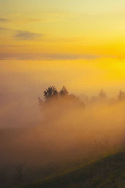 istock Mystical dawn by the river landscape 2030937467