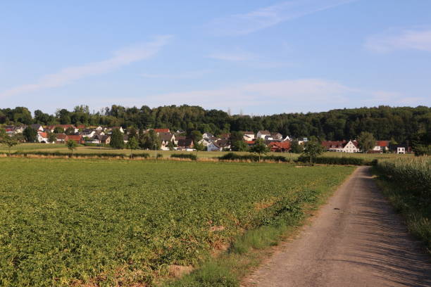 beautiful summer day in fröndenberg an der ruhr - czerwonki zdjęcia i obrazy z banku zdjęć