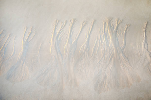 Beautiful Wavy Sand texture beach for background, Top view. for summer designs, copy past. Nature background concept
