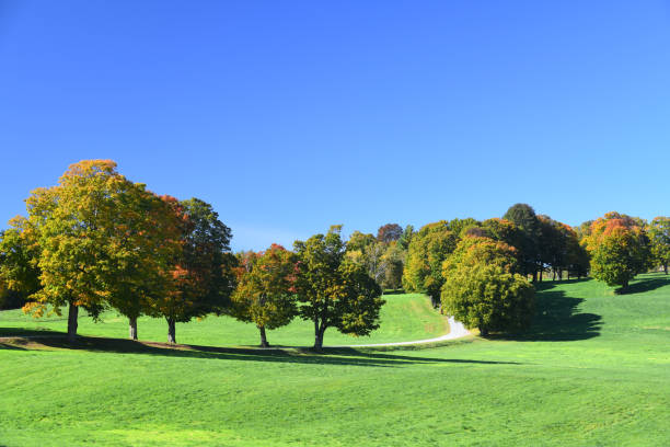 Landscape with Trees in Autumn Colors, Hudson River, Catskill Mountains and Blue Sky with Clouds in Background, Hyde Park, Dutchess County, Hudson Valley, New York, USA.  Canon EOS 6D Full Frame Sensor Camera, Canon EF 24-105mm F/4L IS lens and Polarizing Filter.