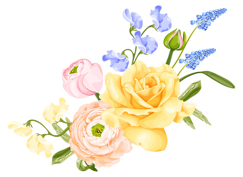Spring bouquet with yellow rose, pink ranunculus, blue hyacinth flower and sweet pea. Stock vector illustration on a white background.