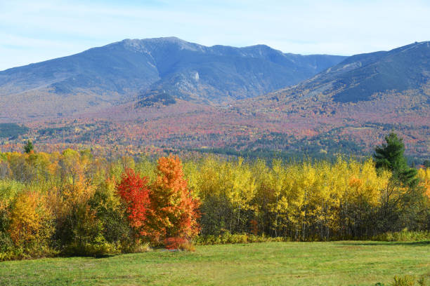 istock autumn colorful mountain forest and pasture 2031007136