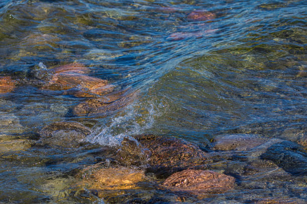 Water flowing over stones near the shoreline of Lake Ontario.