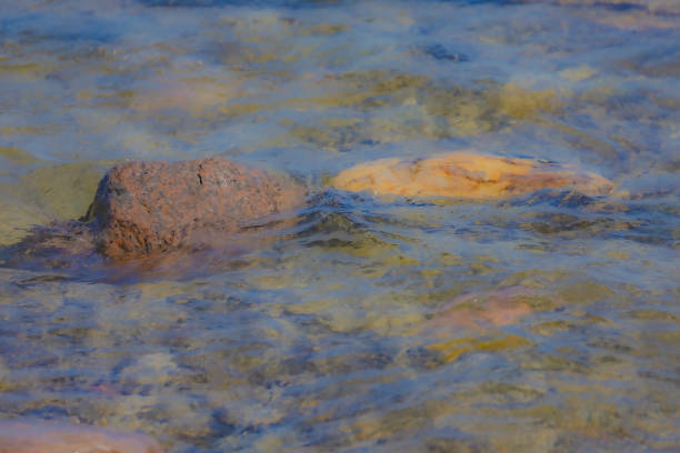 Water flowing over stones near the shoreline of Lake Ontario.