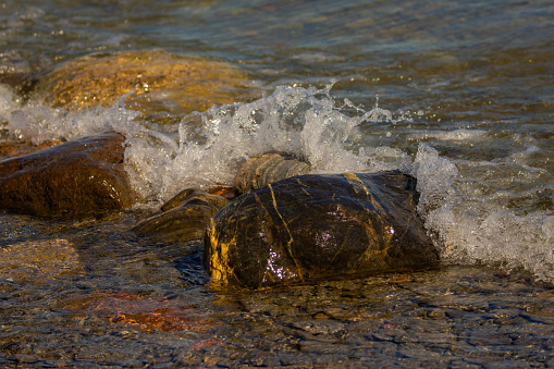 Water flowing over stones near the shoreline of Lake Ontario.
