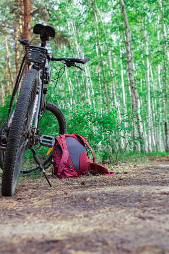 close-up details of a bike against a blurred forest background, front and back background blurred with bokeh effect