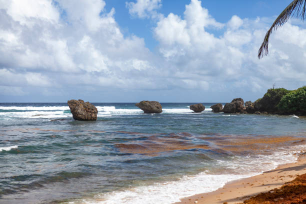 Mushroom Rock, Bathsheba, Barbados, West Indies