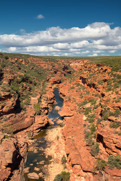 istock Kalbarri National Park 2031095111