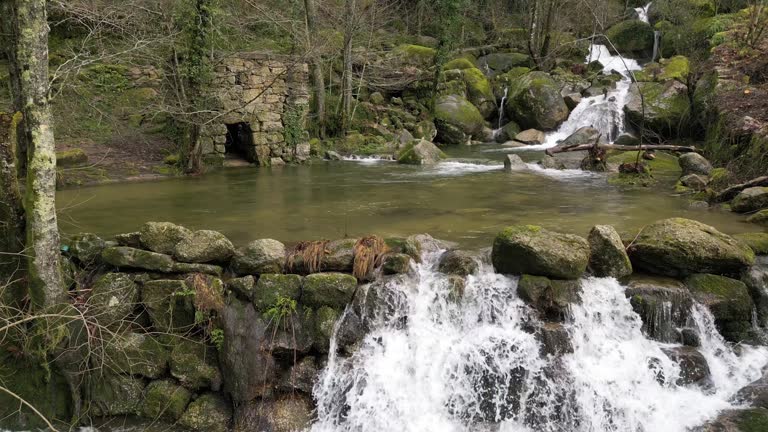 Serene Barrias Waterfall in Felgueiras, Portugal