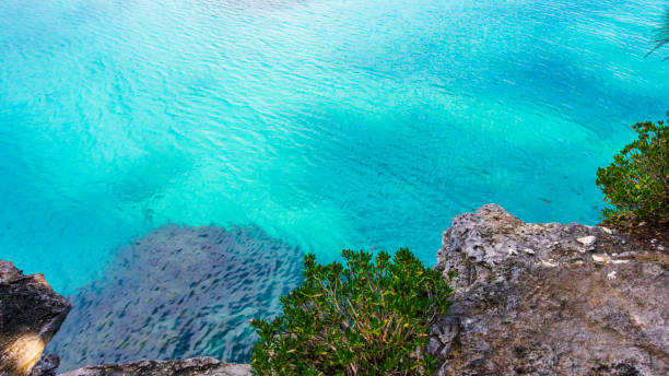 Horseshoe Bay Beach and Deep Bay Beach in Hamilton, Bermuda