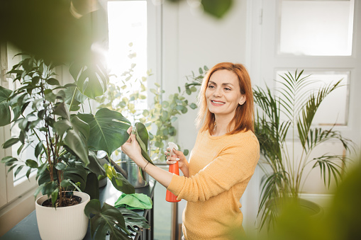Mature woman taking care about plants at home.