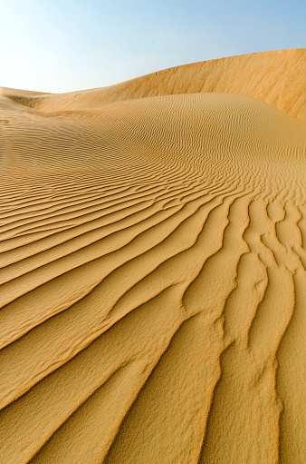 Middle East desert – dune ridge in the Liwa Desert, which is part of the Rub al Khali Desert or Empty Quarter desert, straddling UAE, Oman, Yemen and Saudi Arabia
