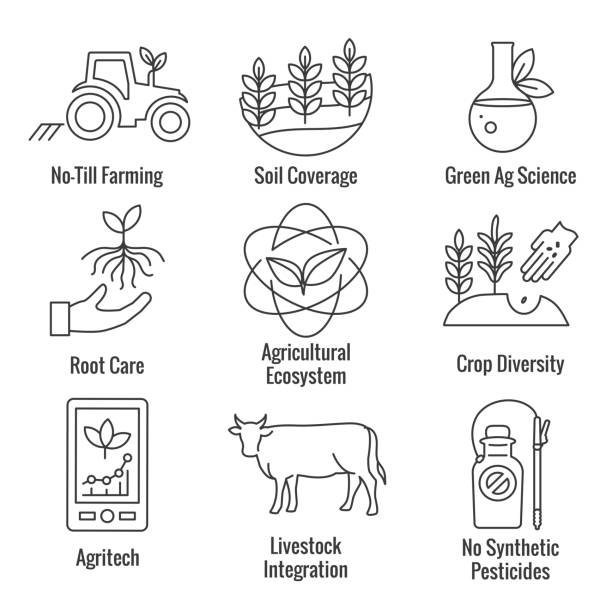 170+ Crop Rotation Illustrations - iStock