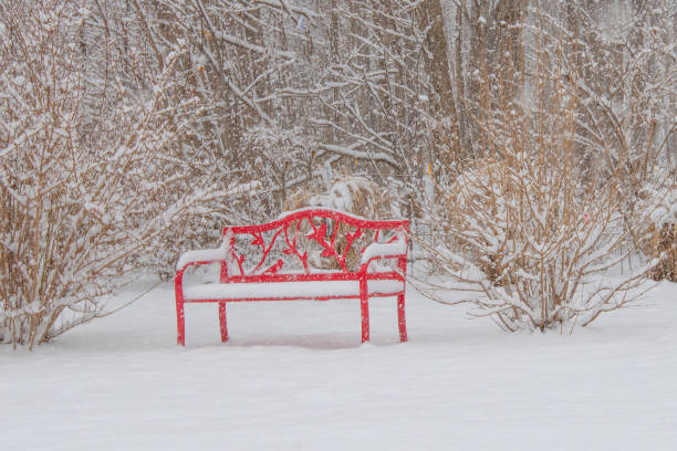 Red Iron Bench in the snow- Howard County, Indiana