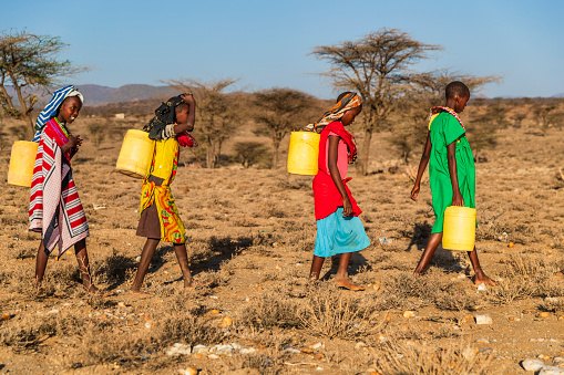African young girls from Samburu tribe carrying water to their village, Kenya, Africa. African women and also children often walk long distances through the savanna to bring back containers of water. Some tourist camps cooperating with nearby villages and allow local people to use their water. Samburu tribe is north-central Kenya, and they are related to  the Maasai.