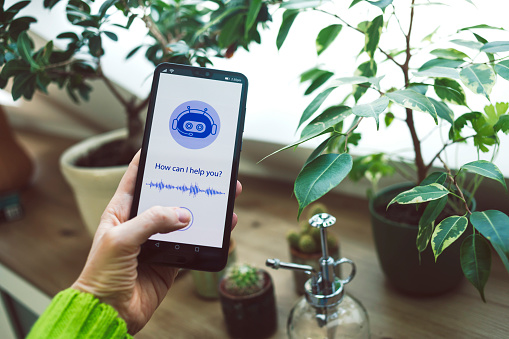 Using AI for tips on growing flowers at home. AI Chatbot in mobile application. Chatbot conversation, Ai Artificial Intelligence technology. Futuristic technology. Virtual assistant on internet. Using AI at everyday lives.