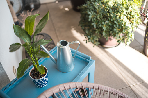 A serene home setting featuring a sleek watering can and thriving potted plants on a blue cart. The scene, set by a chair, suggests a peaceful urban balcony or patio. The focus is on home gardening and contemporary decor.