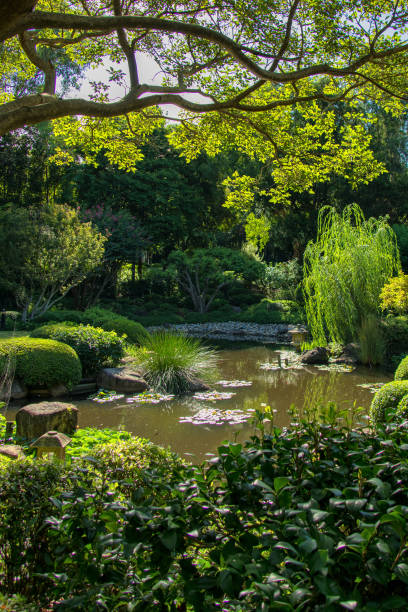istock Japanese Garden 2031527515