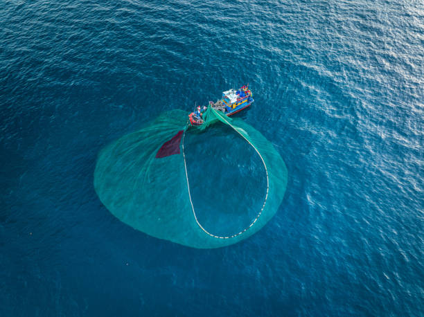 Netting fish on Nha Trang sea Drone view a fishing boat is netting fishes on Nha Trang sea - Nha Trang city, K fish trawler stock pictures, royalty-free photos & images