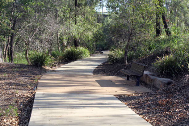 istock Concrete path surrounded by trees, shrubs and a seat bench at Little Creek Parklands in Gladstone, Queensland, Australia 2031574944