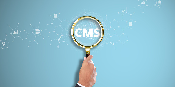 CMS Concept and its Role in Blog Promotion, Data Administration, and Website Optimization - A Synergy of SEO and Internet Technology