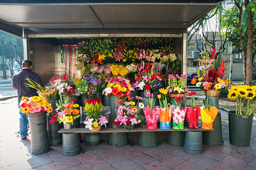 Vendor stands at flower shop in Mexico City, Mexico on a sunny day.