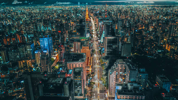 istock Paulista Avenue 2031694374