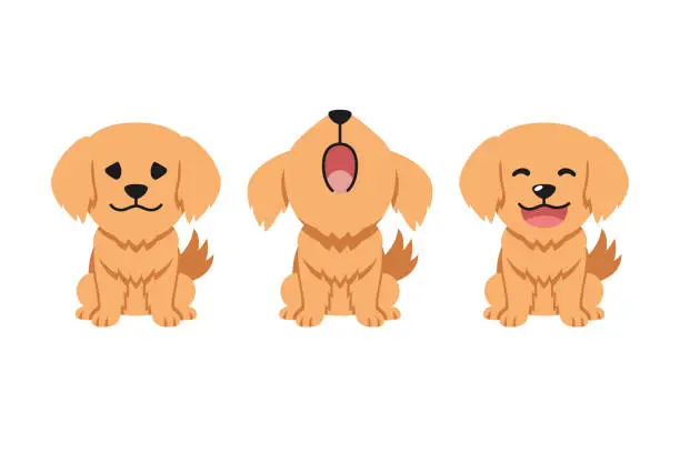 Vector illustration of Set of vector cartoon character cute golden retriever dog