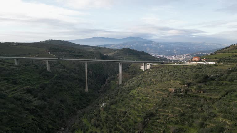 Serene Lamego Bridge Highway, Portugal - aerial