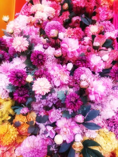 istock Floral Festival 2031845364
