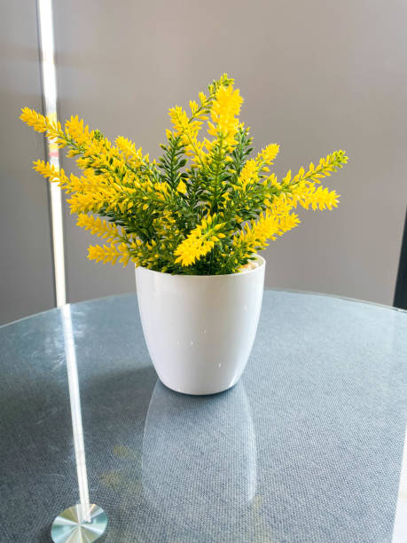 istock Yellow flowers in a vase 2032009880
