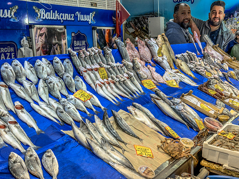 Seafood panorama. Raw fish and sea food on ice, overhead flat lay panoramic banner. Shellfish, scallop, and lime, with dill