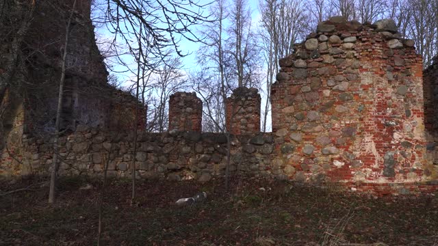 Walk near destroyed church boulder and brick wall, countryside environment