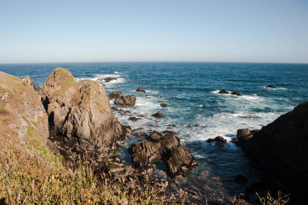 The Oregon coast offers many scenic views. Traveling along Highway 101 travelers can stop of one of the many vista points along the way.
