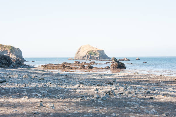 The Oregon coast offers many scenic views. Traveling along Highway 101 travelers can stop of one of the many vista points along the way.