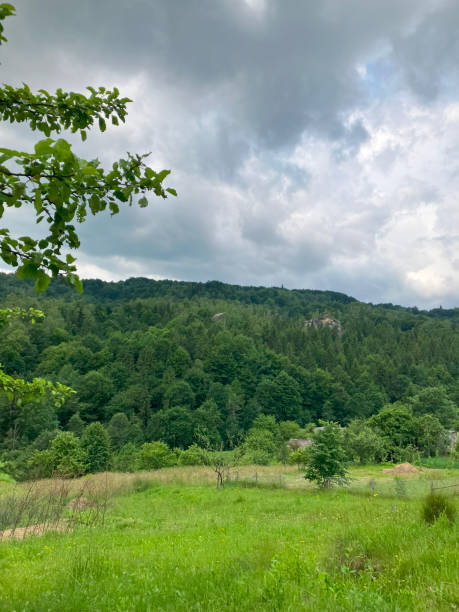 istock Green meadow on the forest mountains background 2032079780