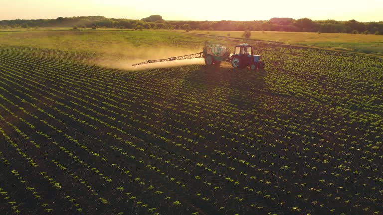 Aerial footage. Pesticide Sprayer Tractor working on a large green field at sunset. Aerial shot following on the side a tractor spraying wheat field against diseases. Farmer environment concept.