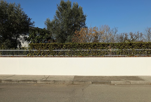 Fence made of white plaster wall with row o bricks, railing and hedge on top. Concrete sidewalk and asphalt street in front, trees and white building on behind. Background for copy space.