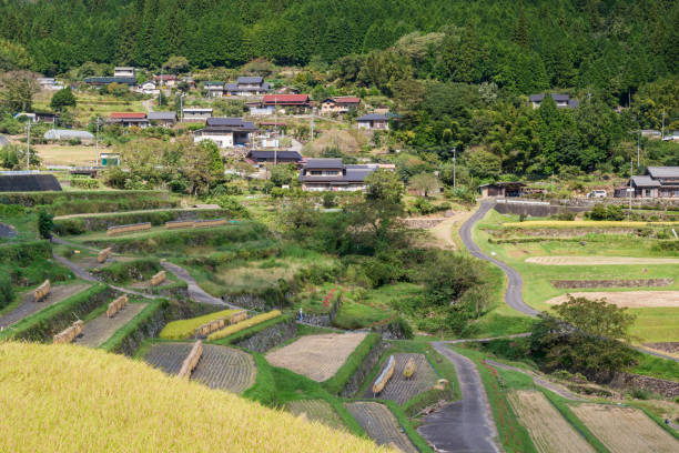istock Autumn at Sakaori Rice Terraces (Ena City, Gifu Prefecture). 2032112534