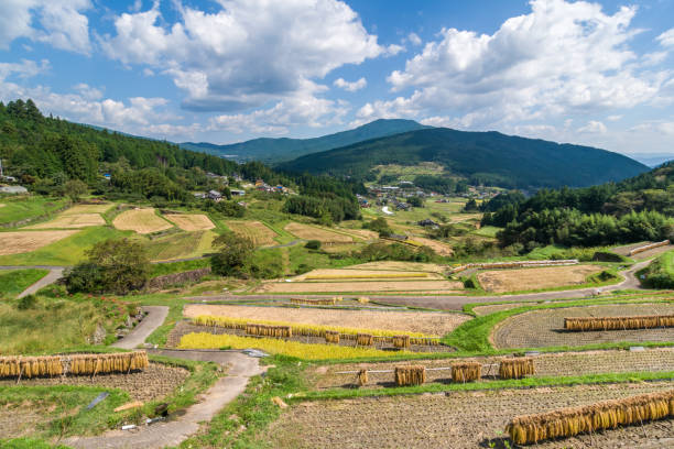 istock Autumn at Sakaori Rice Terraces (Ena City, Gifu Prefecture). 2032113604