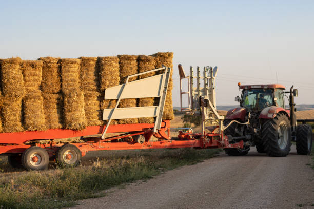 istock Tractor transporting bales of straw. Copy space. 2032134707