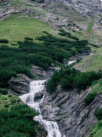 This photo was taken in the Stelvio National Park in Lombardy after heavy summer rain