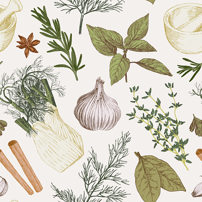 Seamless pattern with hand drawn herbs and spices. Vintage style culinary illustrations, vector